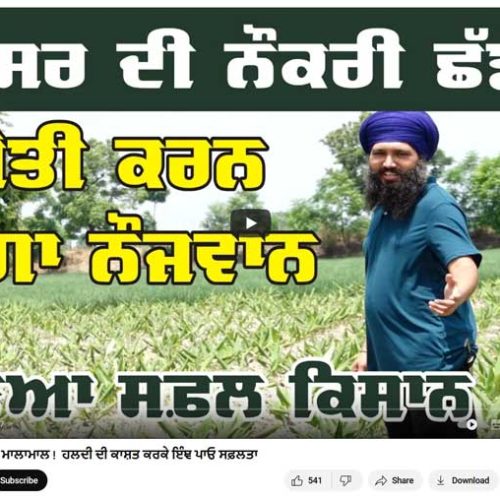 Atinderpal singh turmeric Jagbani coverage